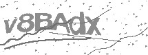 visual captcha